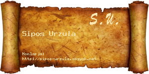 Sipos Urzula névjegykártya